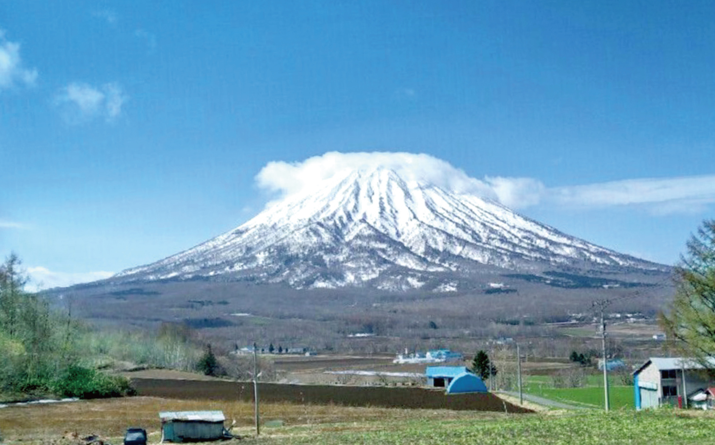 プライバシーポリシー